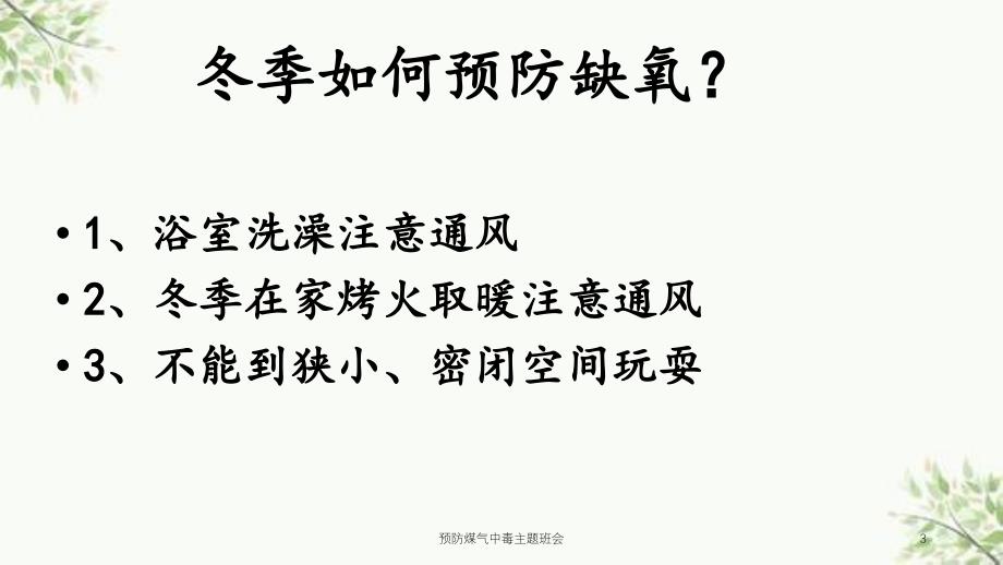 预防煤气中毒主题班会课件_第3页