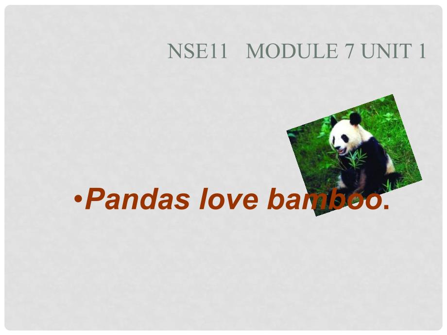 六年级英语上册 Unit 1 Pandas love bamboo课件1 外研版（一起）_第1页