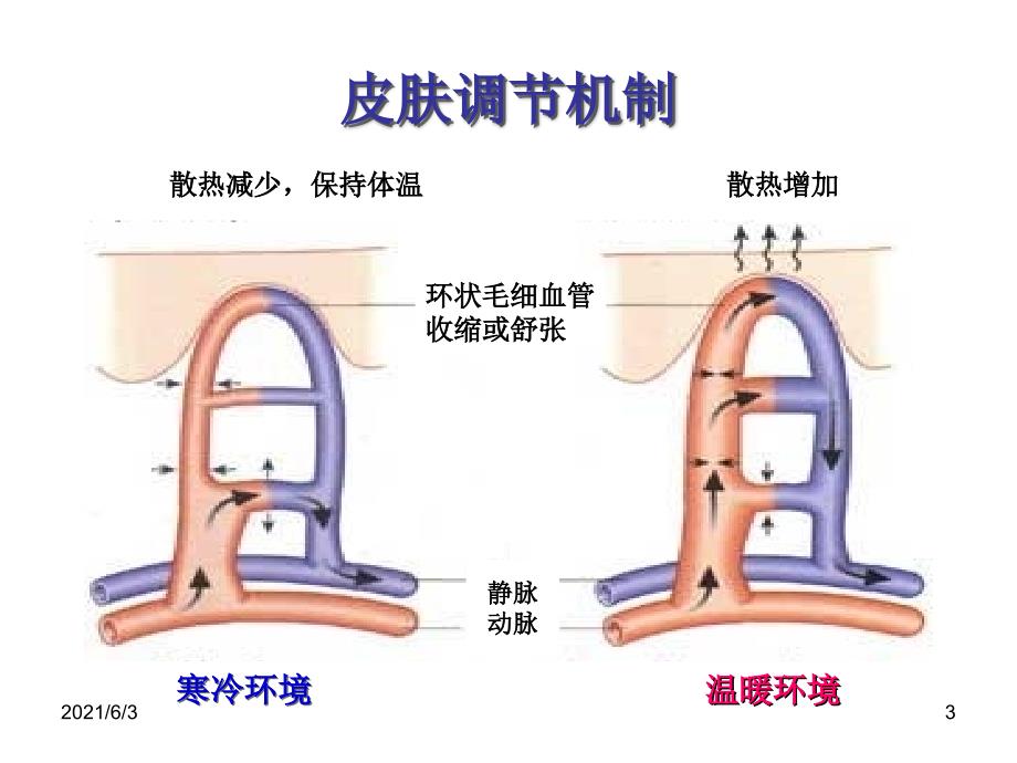 体温异常及管理_第3页