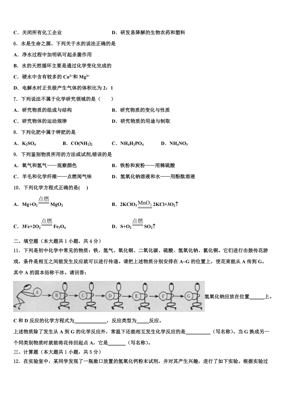 2023学年江苏省滨淮重点达标名校中考化学押题试卷（含答案解析）.doc_第2页