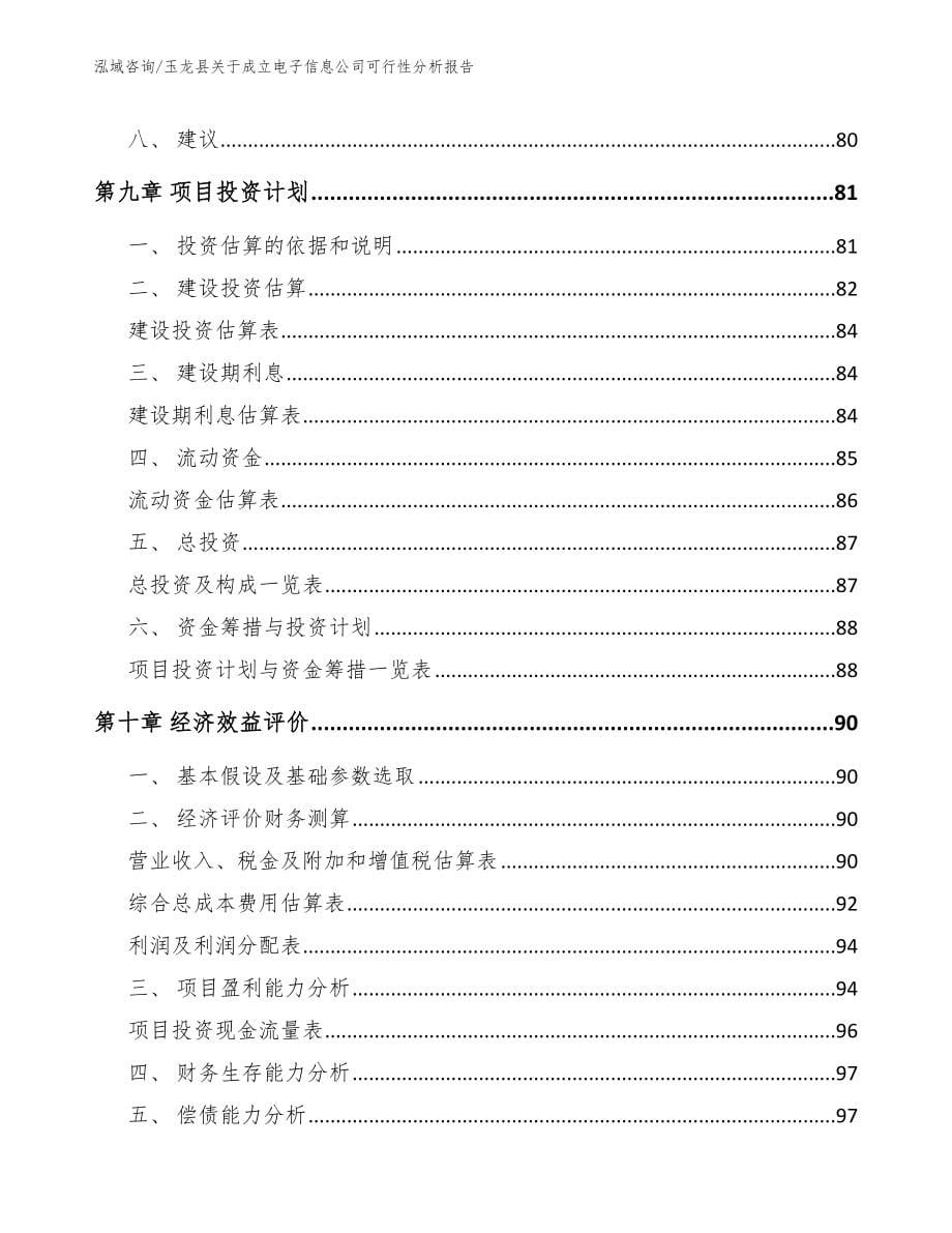 玉龙县关于成立电子信息公司可行性分析报告_第5页