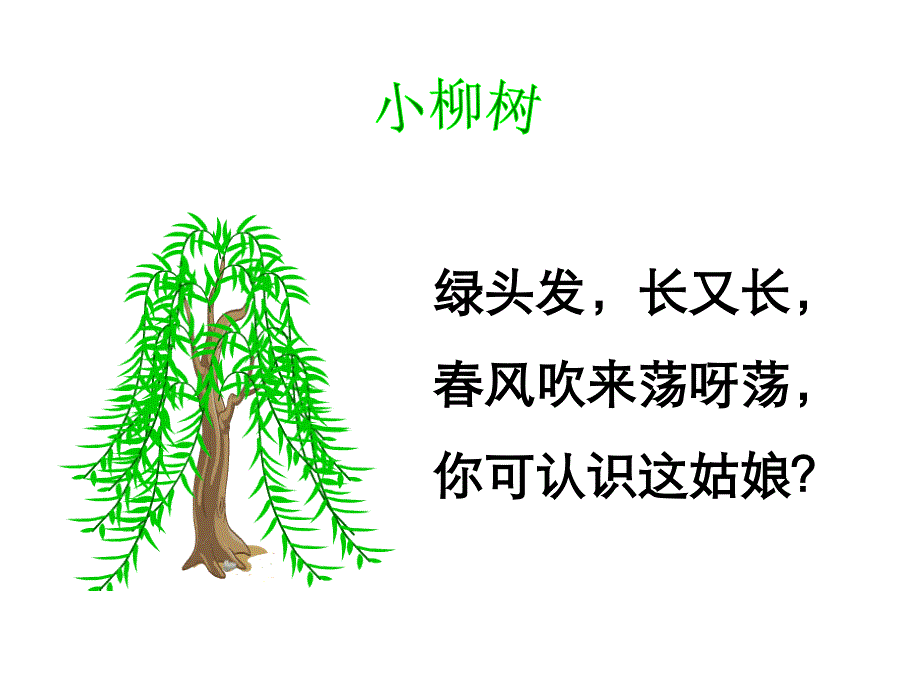 小柳树和小枣树__自己做的_第1页