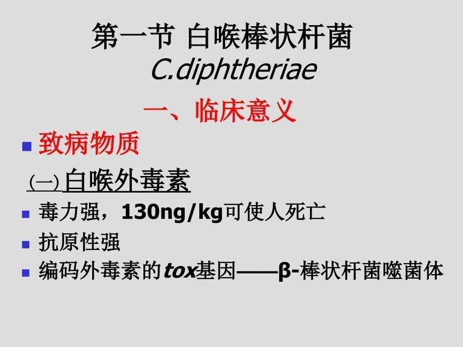 微生物学课件：第12章 棒状杆菌属_第5页