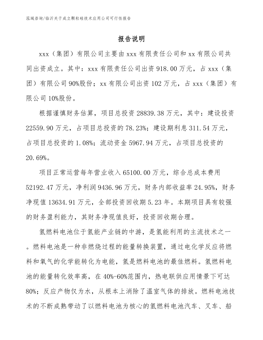 临沂关于成立颗粒硅技术应用公司可行性报告模板范本_第2页