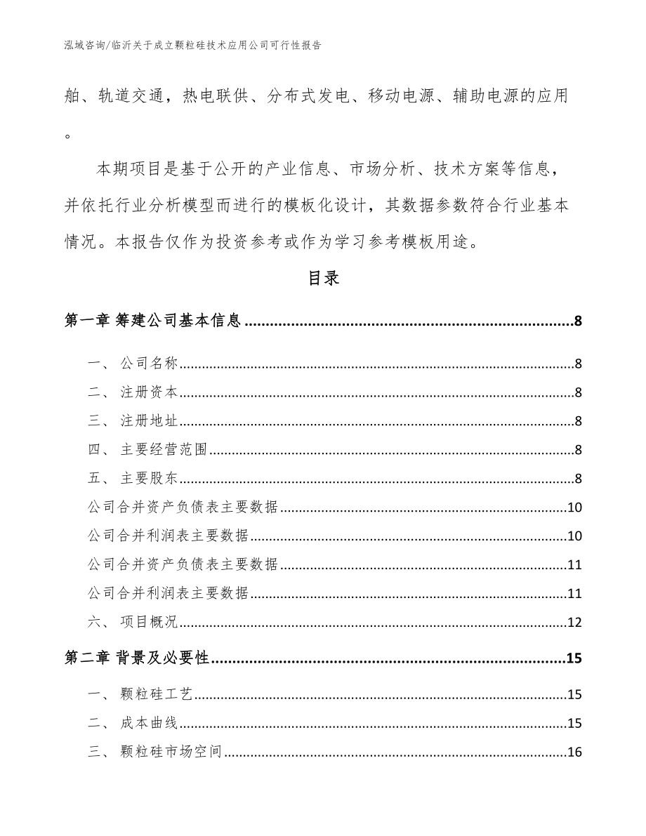 临沂关于成立颗粒硅技术应用公司可行性报告模板范本_第3页