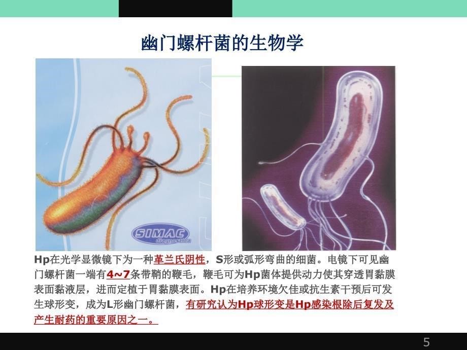 13C14C呼气试验ppt课件_第5页