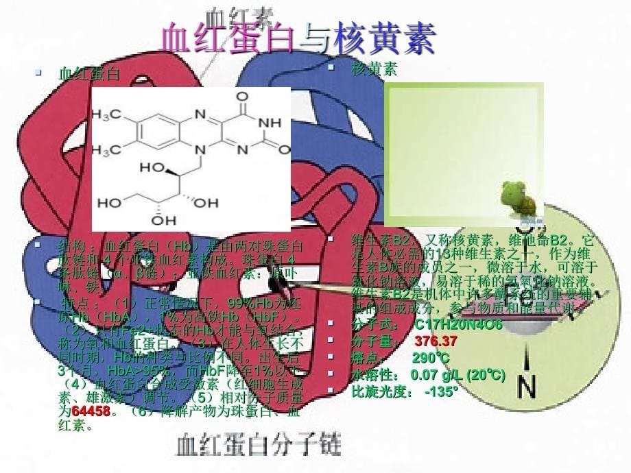 血红蛋白与核黄素的凝胶层析分离电液_第5页