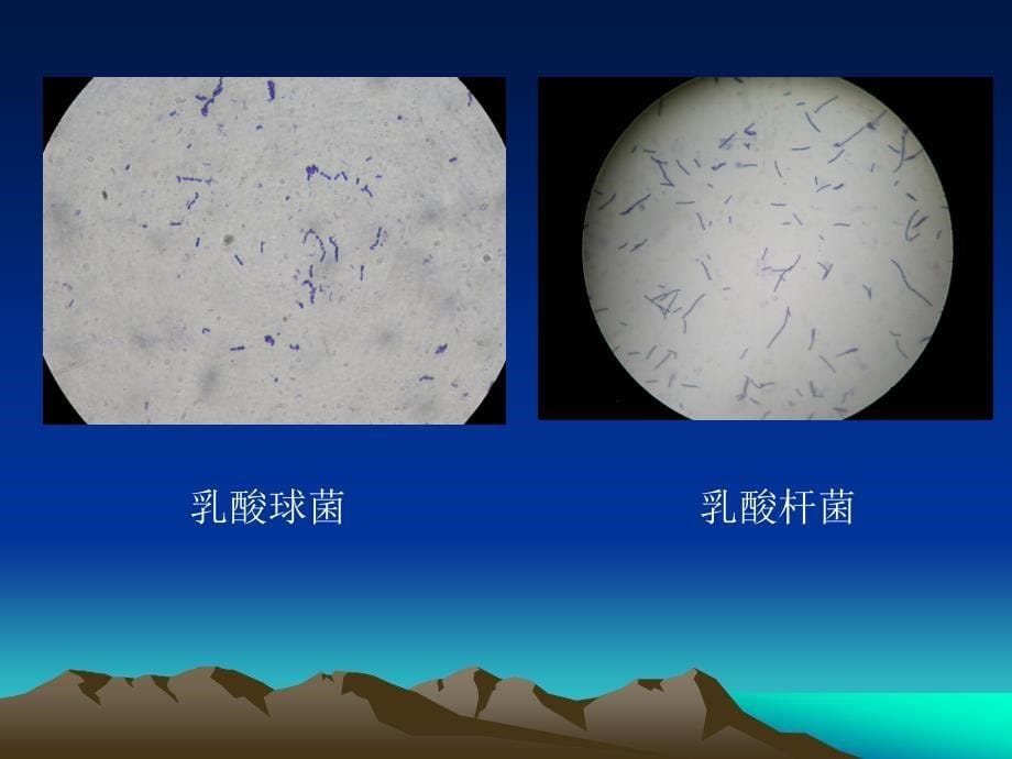 2002年成人高考数学试题及答案(高起点文史类)_第5页