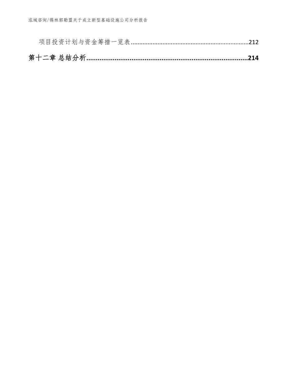 锡林郭勒盟关于成立新型基础设施公司分析报告参考范文_第5页