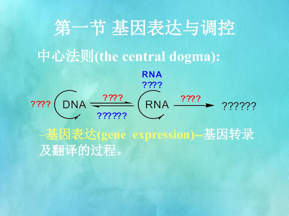 基因调控与发育讲义_第3页