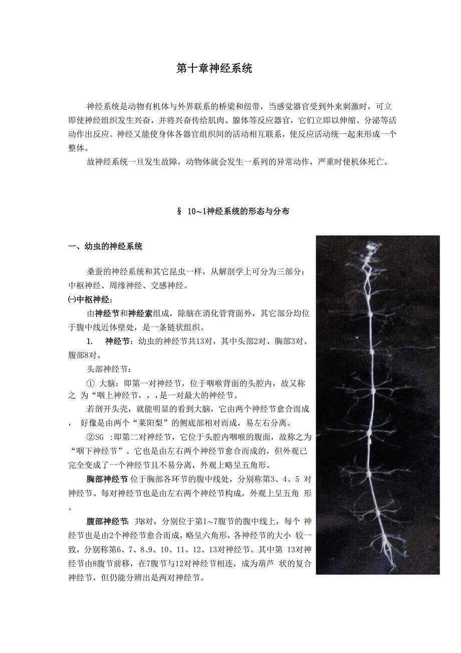 蚕体解剖生理学_第1页