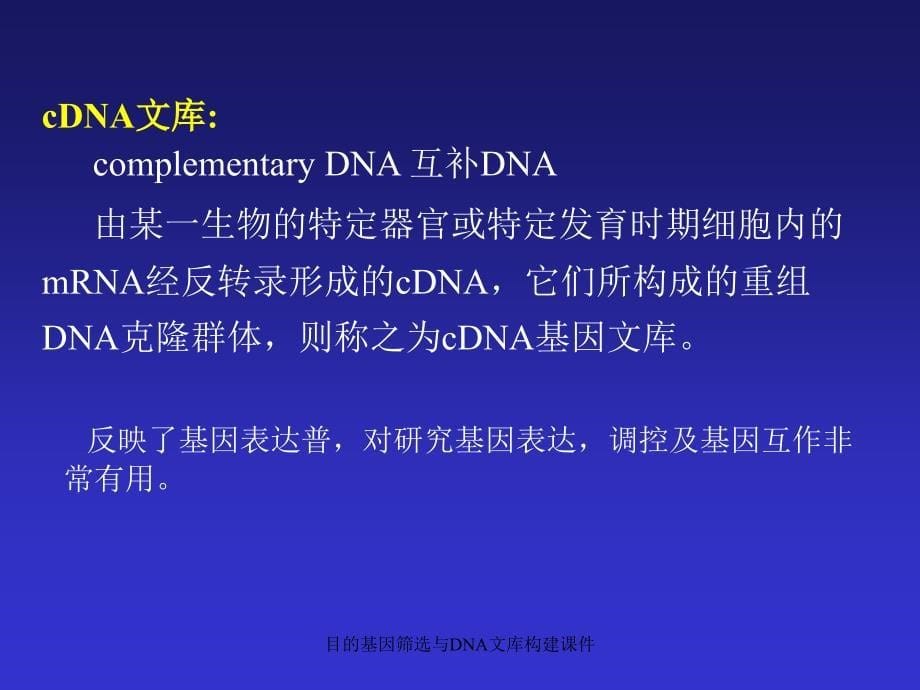 目的基因筛选与DNA文库构建课件_第5页