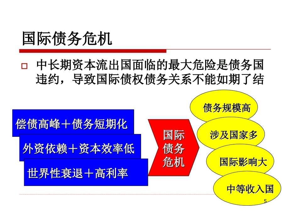 第7部分国际资本流与金融危机_第5页