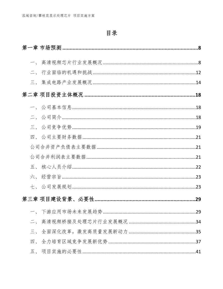 攀枝花显示处理芯片 项目实施方案_第1页