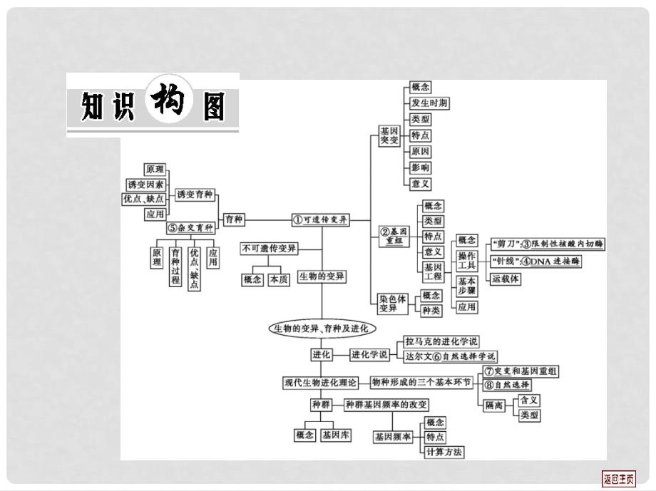 高考生物第一轮复习用书 第七单元 单元知识总结课件 新人教版_第2页