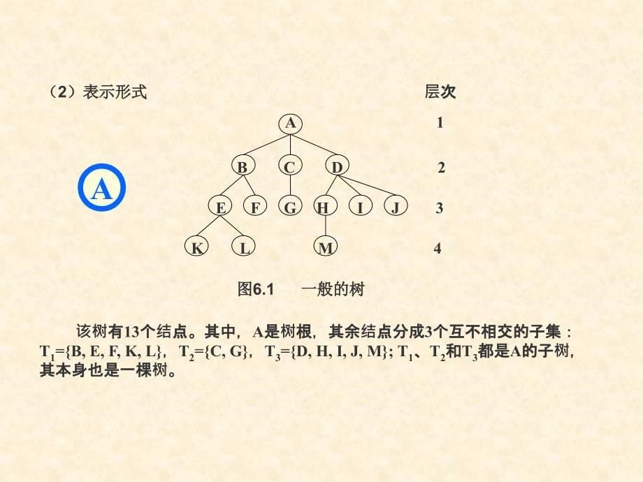 树的定义和基本术语_第5页