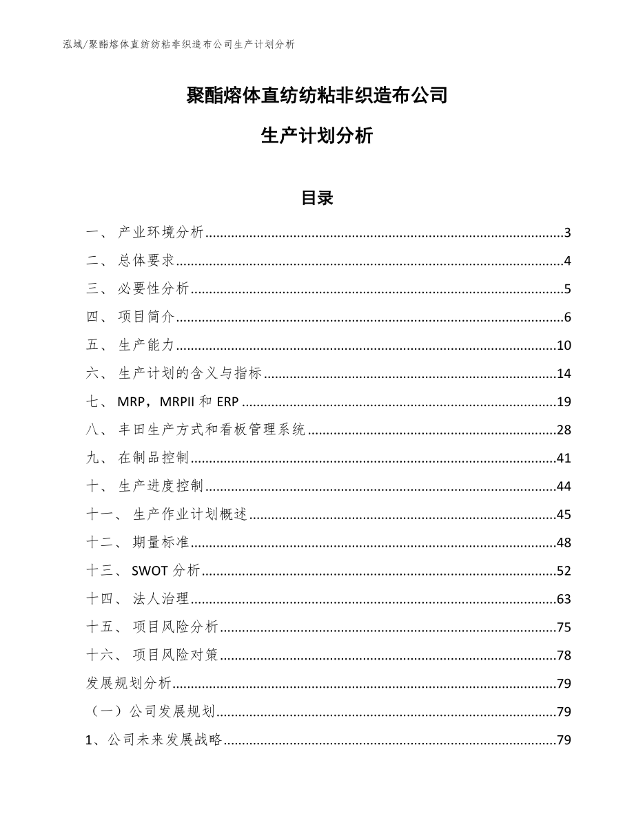 聚酯熔体直纺纺粘非织造布公司生产计划分析（参考）_第1页