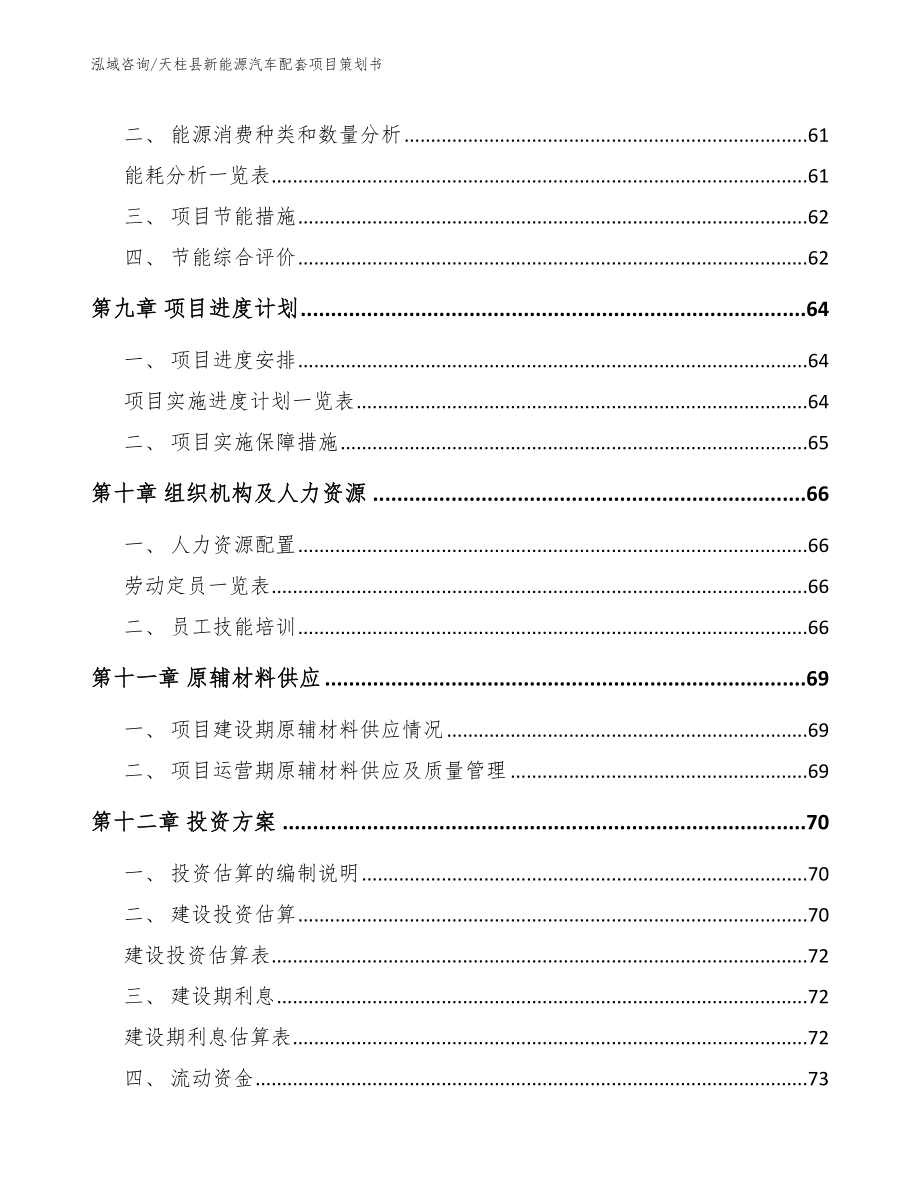 天柱县新能源汽车配套项目策划书【范文模板】_第4页