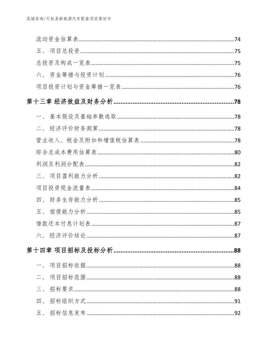 天柱县新能源汽车配套项目策划书【范文模板】_第5页