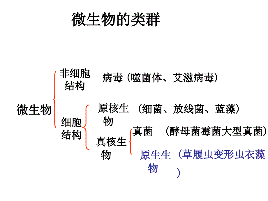 微生物养和分离_第2页