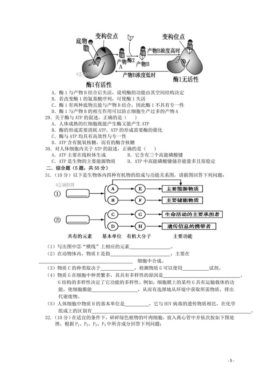 江西省赣州市十四县市高二生物上学期期中联考试题111102105_第5页