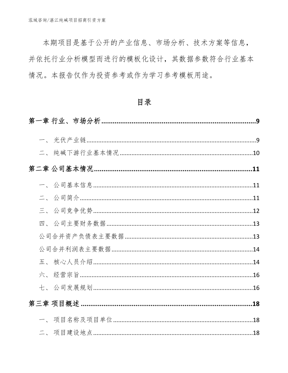 湛江纯碱项目招商引资方案（参考范文）_第3页