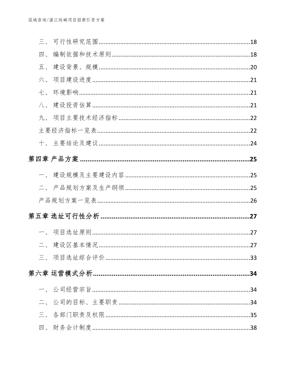 湛江纯碱项目招商引资方案（参考范文）_第4页