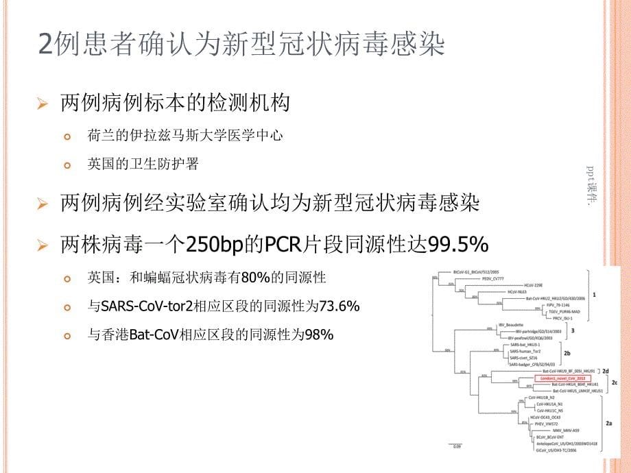 冠状病毒感染ppt课件_第5页