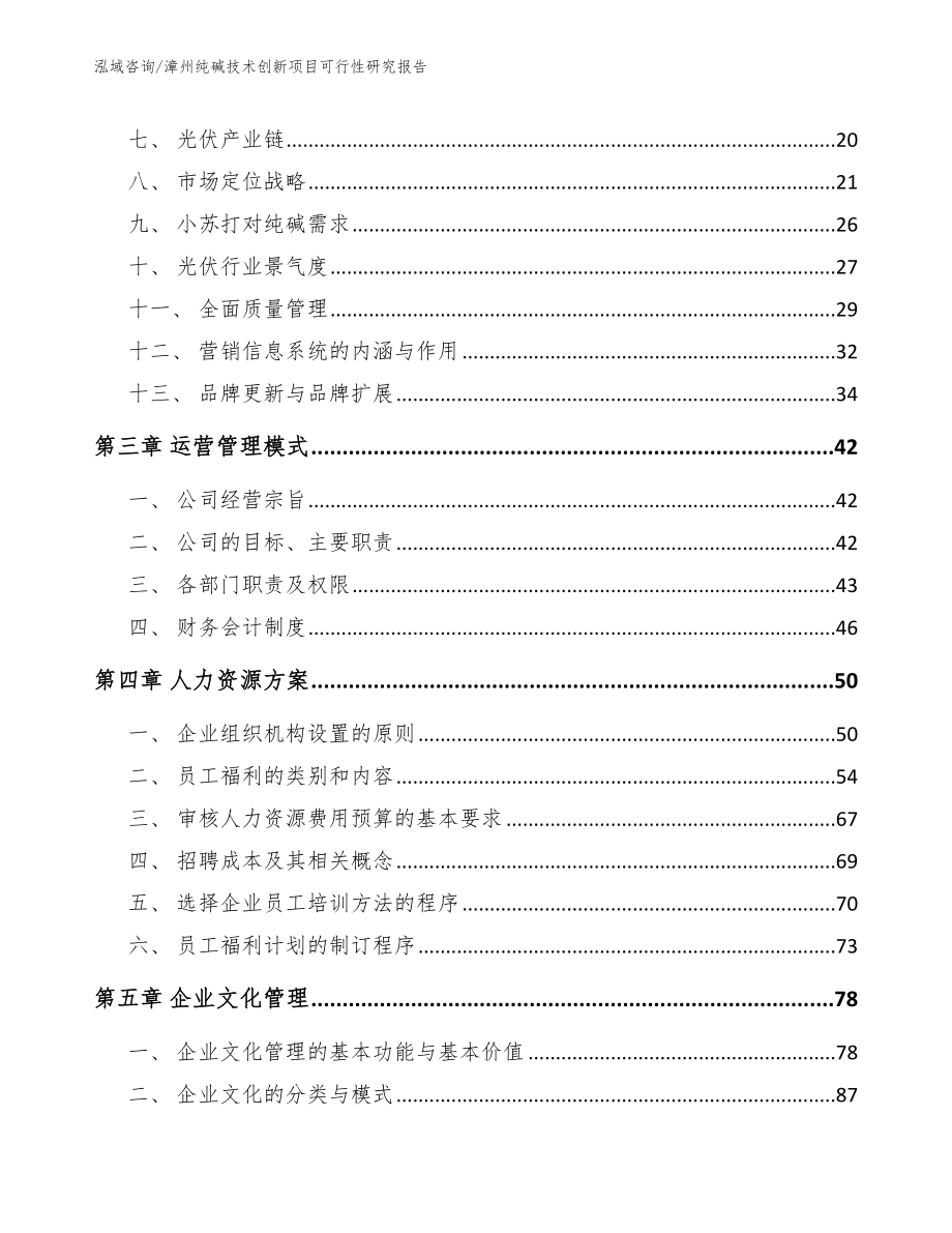 漳州纯碱技术创新项目可行性研究报告_第4页