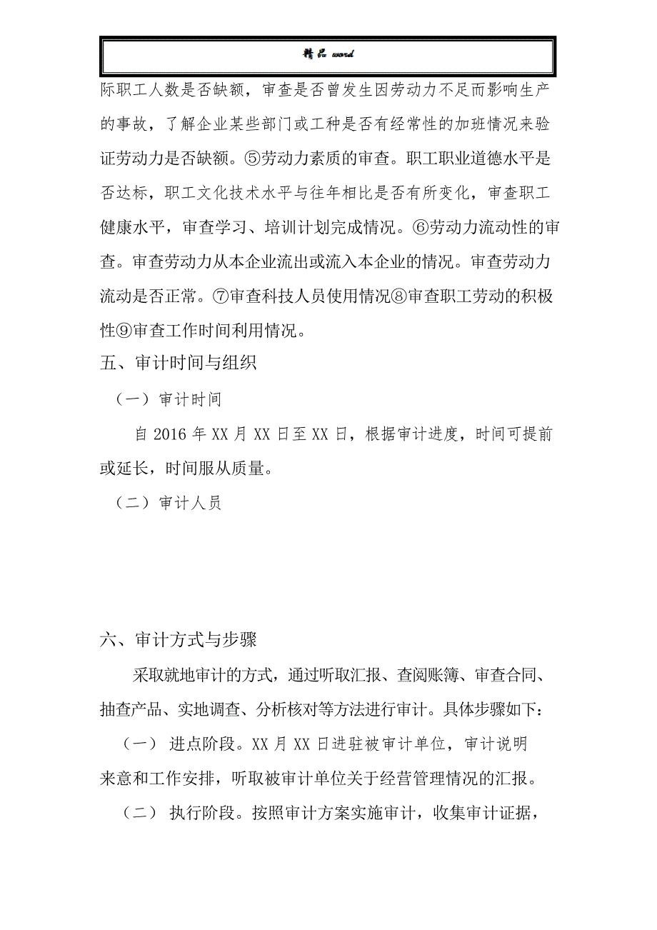 对下属子公司的经营管理审计实施方案_第4页