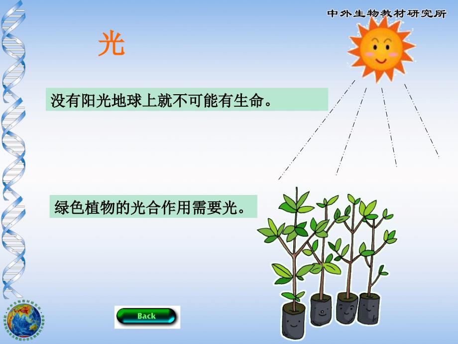 生物与环境的关系.ppt_第4页