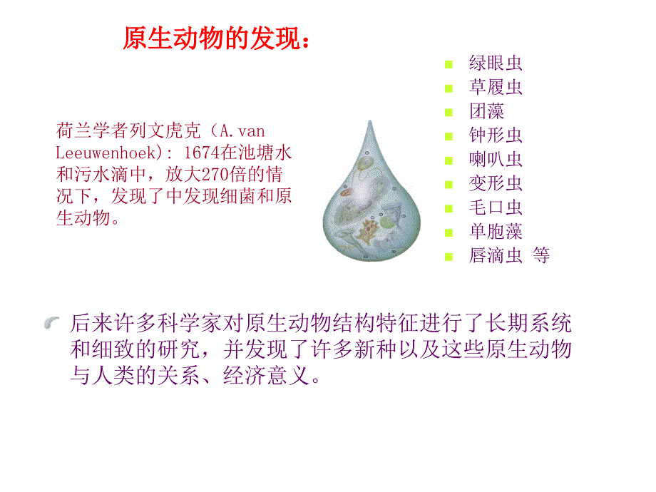 动物生物学33原生动物_第2页