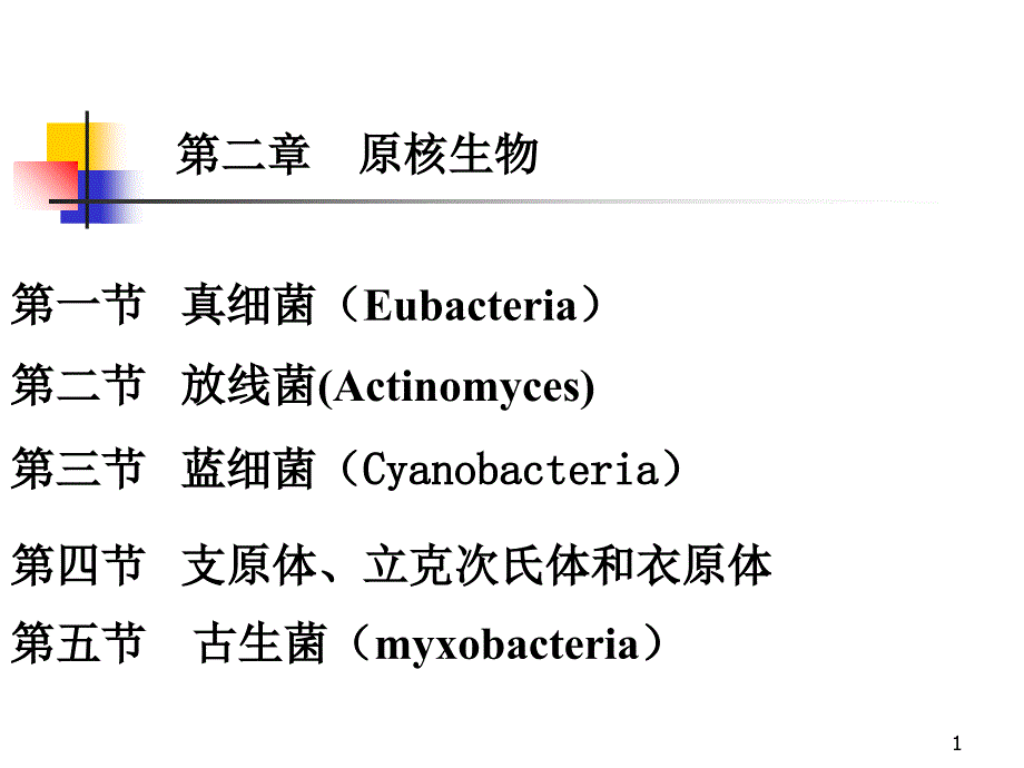 环境工程微生物学第二章-原核微生物_第1页