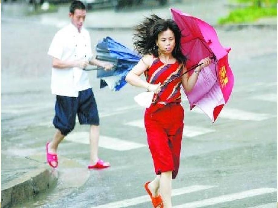 贾平凹《风雨》_第4页