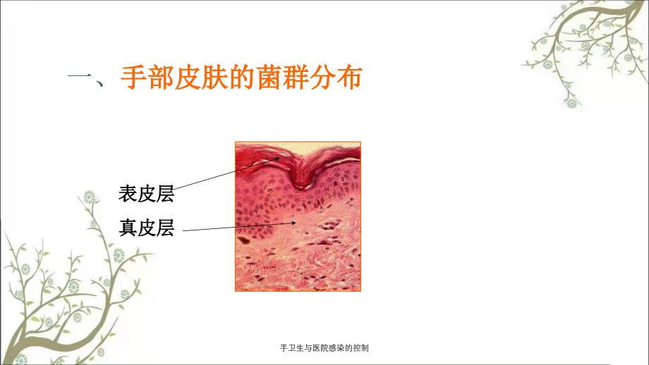 手卫生与医院感染的控制_第3页