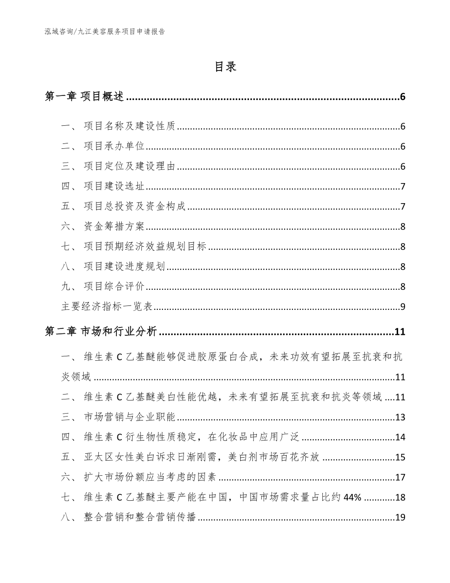 九江美容服务项目申请报告_第2页