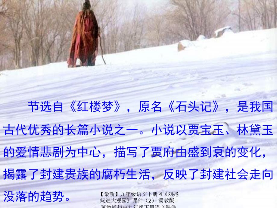 最新九年级语文下册4刘姥姥进大观园课件2冀教版冀教版初中九年级下册语文课件_第4页