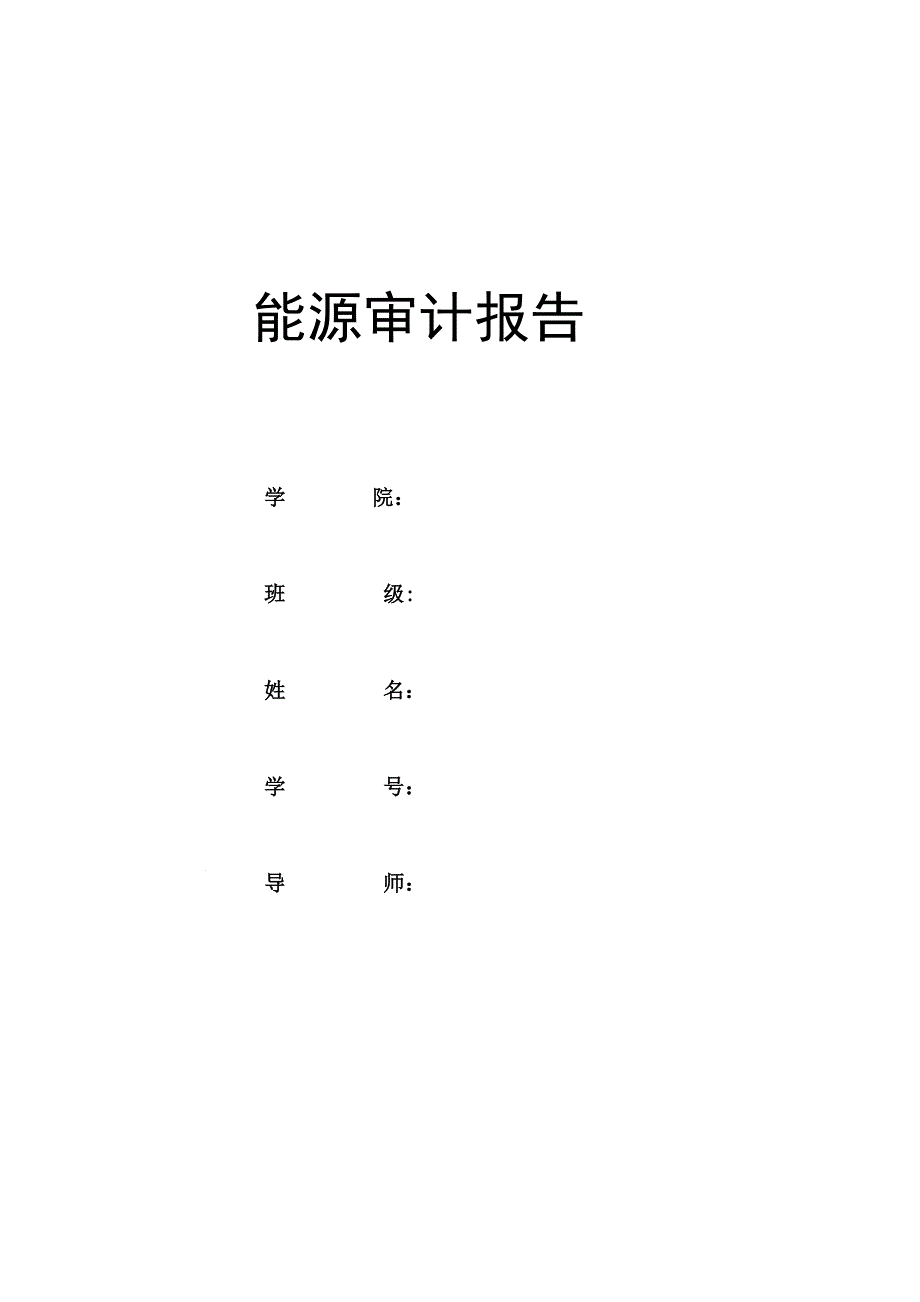 能源审计报告.docx_第1页