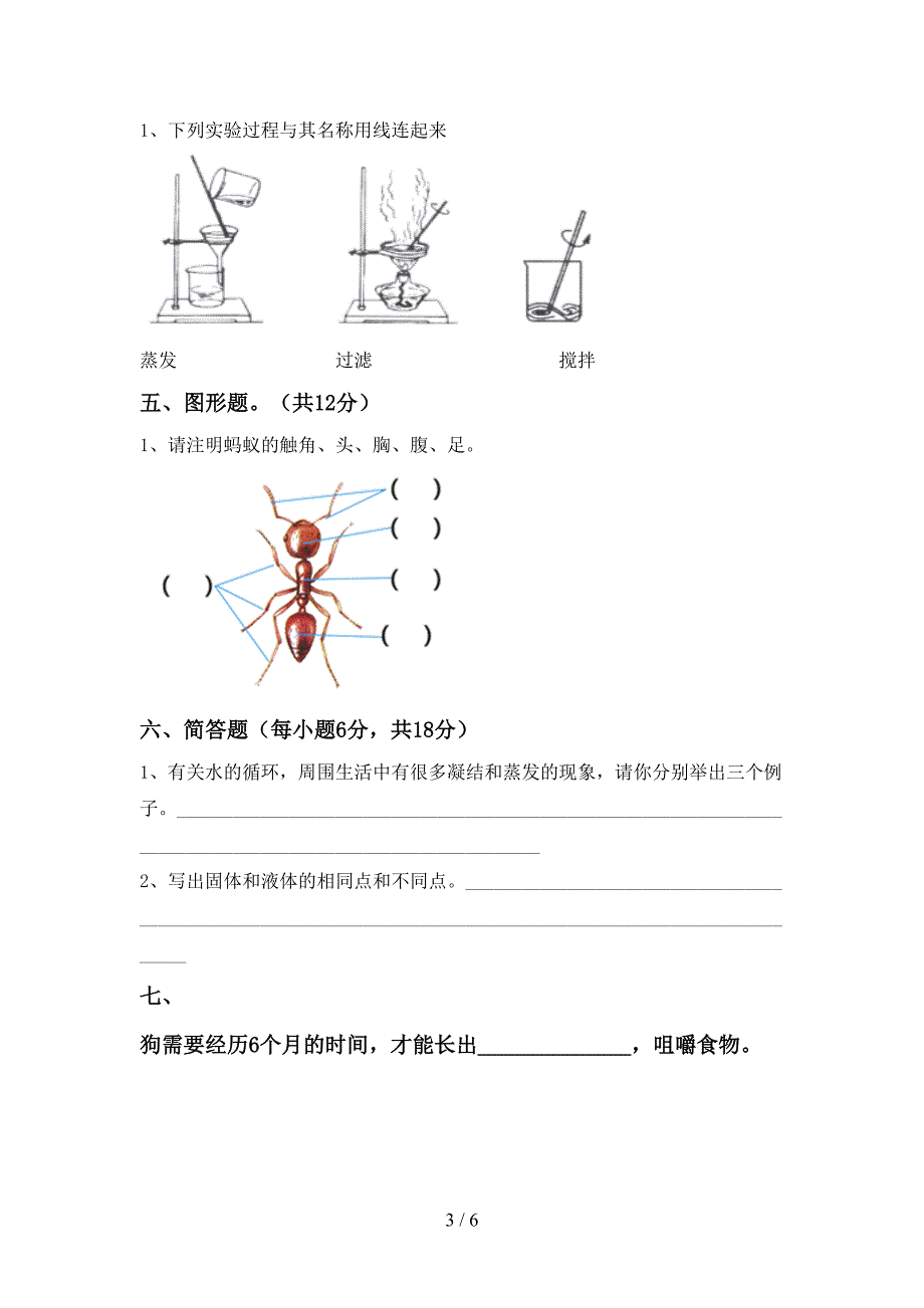 人教版三年级科学上册期中考试卷(完整).doc_第3页