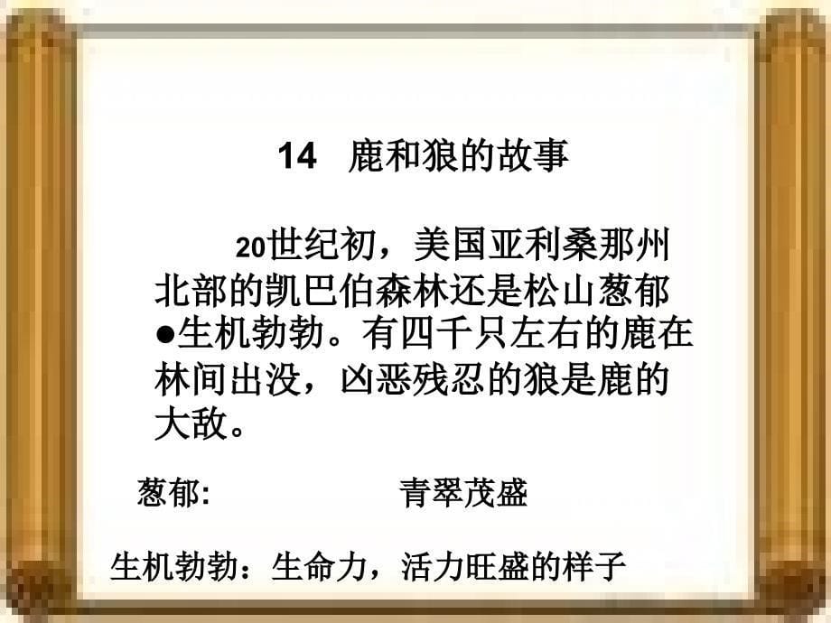 罗斯福为了保护凯巴伯森林里的鹿采取了哪些措施课件_第5页