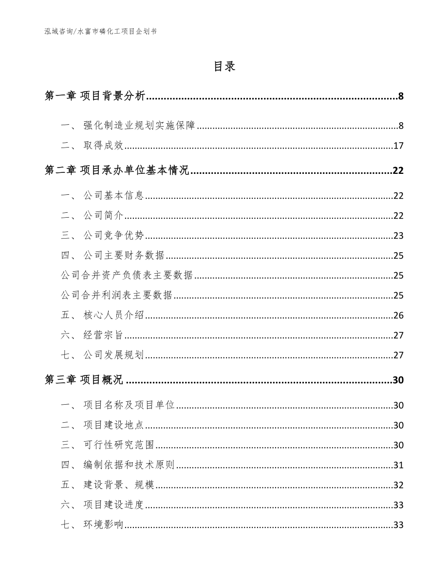 水富市磷化工项目企划书模板_第2页