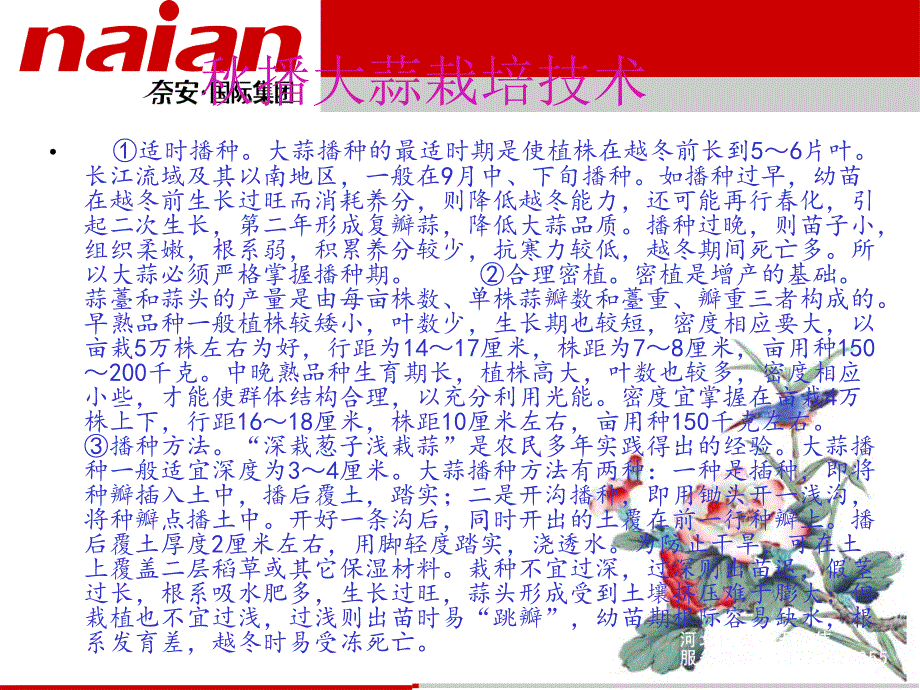 大蒜化学除草及药物除治_第4页