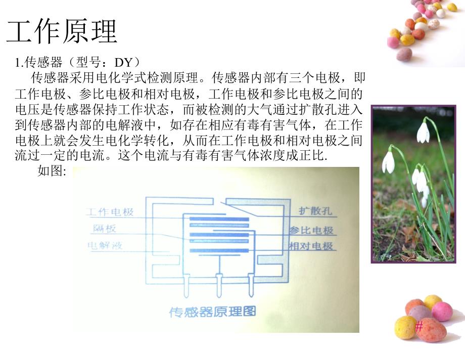 DS-100有毒有害气体探测器讲述_第3页