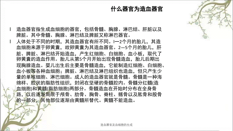 造血器官及血细胞的生成课件_第4页