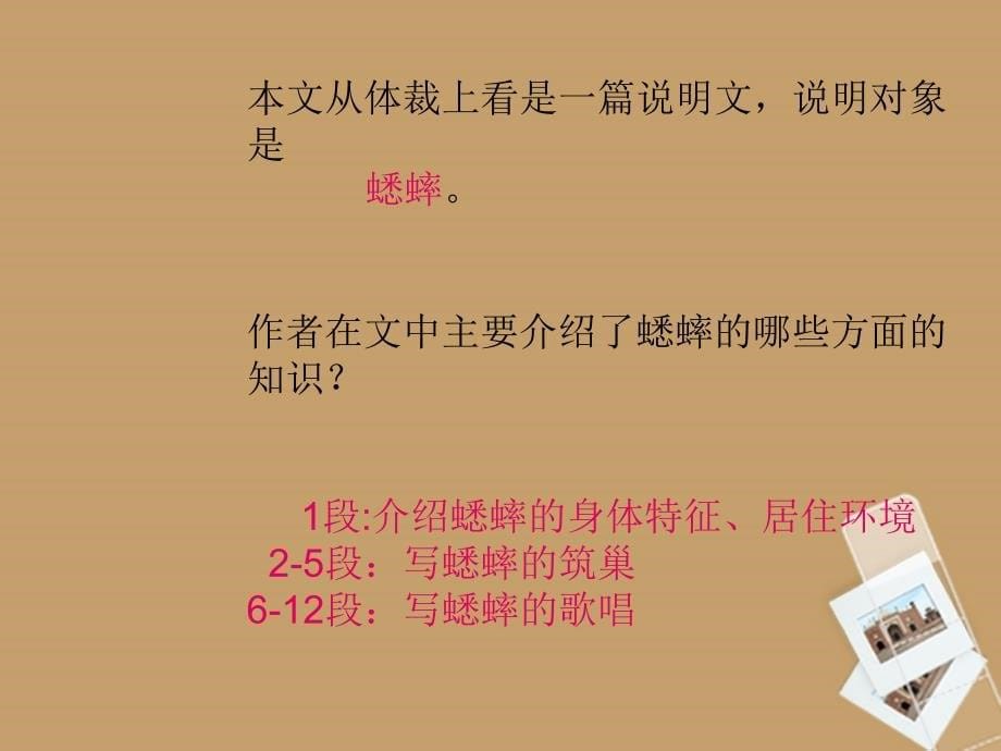 河北省平山县外国语中学七年级语文下册 第16课《蟋蟀》课件 冀教版_第5页