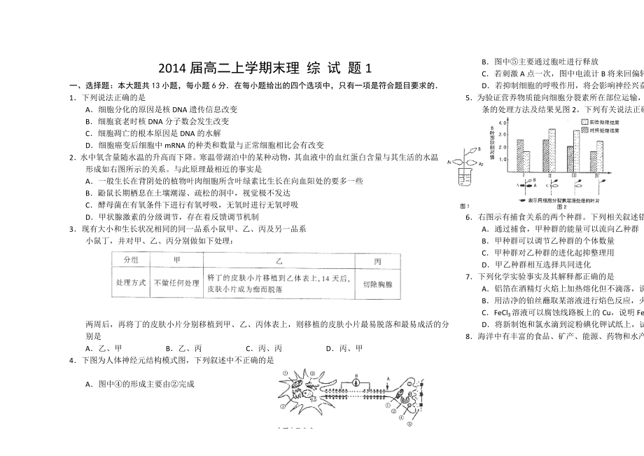 物理寒假作业副本副本_第1页