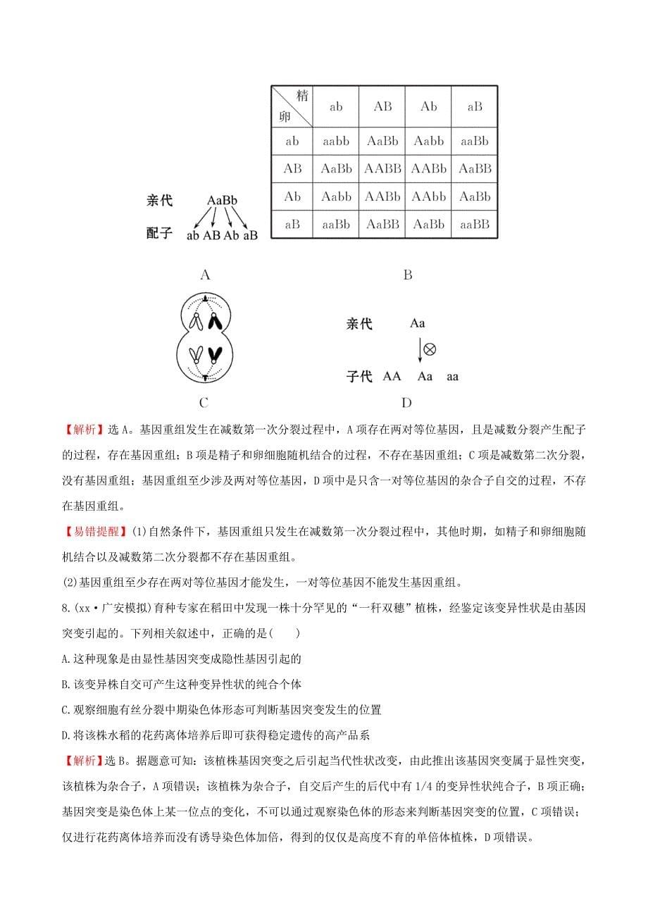 2022年高考生物一轮复习 2.5.1基因突变和基因重组课时提升作业（二十一）（含解析）新人教版必修2_第5页