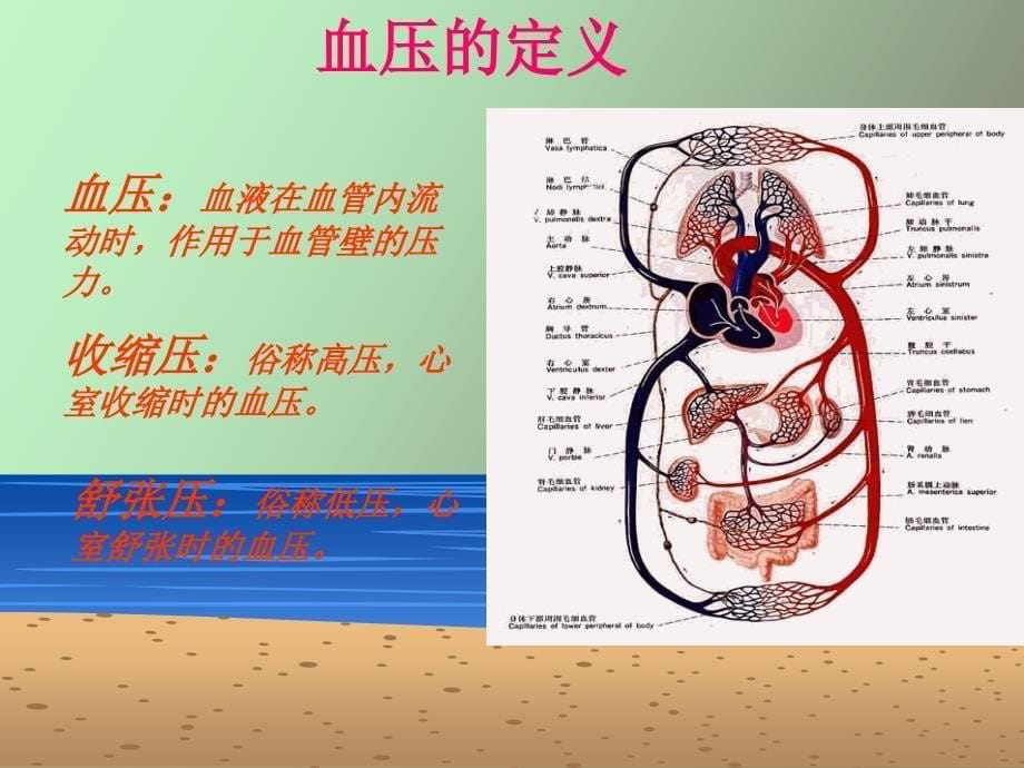 高血压健康讲座_第5页