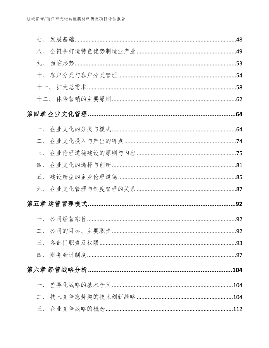 丽江市先进功能膜材料研发项目评估报告参考模板_第2页