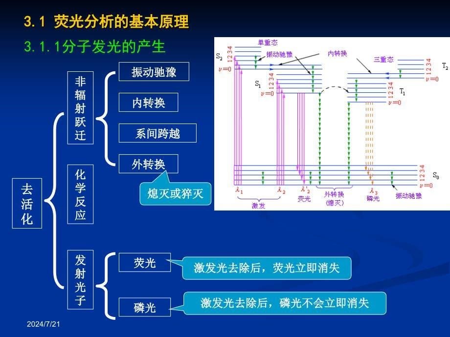 第3章分子荧光分析法_第5页